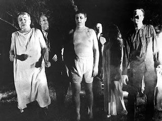Night of the Living Dead In Article