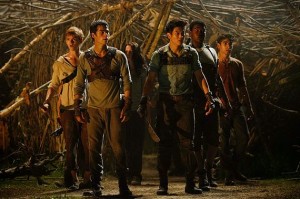 the-maze-runner