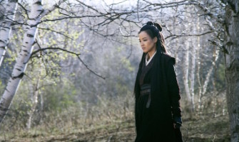 Review| The Assassin