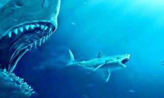 #181 – The Meg and Being Eaten Up By Grief