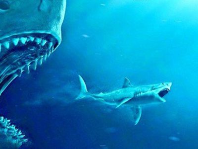 #181 – The Meg and Being Eaten Up By Grief