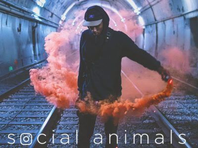Review| Social Animals (2018)